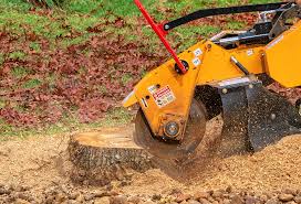 Lawn Maintenance Plans in Wheeling, IL