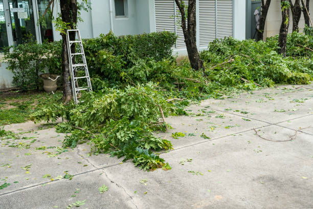 Best Lawn Grading and Leveling  in Wheeling, IL