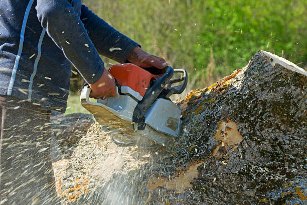 Best Landscape Design and Installation  in Wheeling, IL